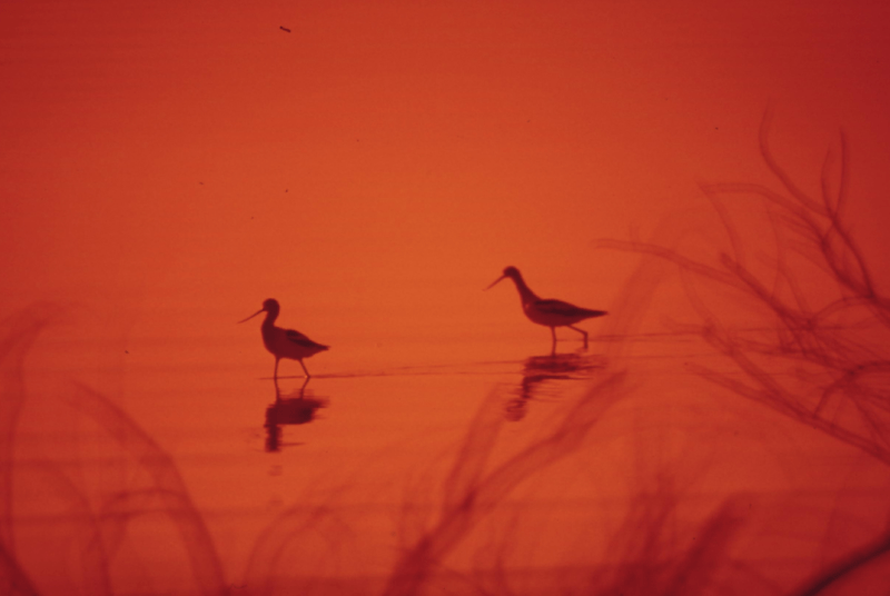 Seni Menjalin Hubungan